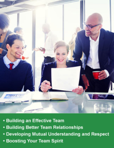 Building an Effective team